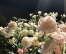 眠れない夜、少しだけお話しませんか☕何でも聞きます 眠れない夜や寂しい時に気軽にお電話ください イメージ2