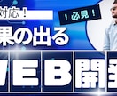 必見！　現役プログラマーが結果の出るサイト作ります 想いをカタチに、SEO対策も万全！ イメージ1