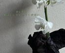 女性限定！話し足りないを解消します なんか話し足りない、こんなモヤっと私で解消してください！ イメージ1