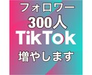 TikTokフォロワー増やします 海外フォロワー300人増やします イメージ1