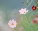 写真撮ります おやき、風景の写真撮らせてください イメージ1