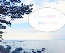ペット様専用☆直傳靈氣（ジキデンレイキ）を行います 遠隔にてペット様にエネルギーケアを行い、ヒーリングいたします イメージ1