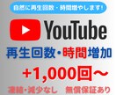 YouTube再生数1000回＆再生時間増やします ☆高品質☆減少補償☆再生数+100回サービス中！ イメージ1