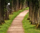 好きな話で、癒されてもらっています 『自然な自分になれる場所』心軽くなるよう応援します！ イメージ8