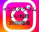 インスタグラムのいいね3000増加させます いいねを一気に増加させてみませんか イメージ1