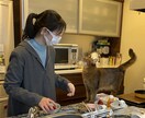 ペットリーディングます 怖くて聞けないペットの本音、あなたたち家族との関係性は？ イメージ1