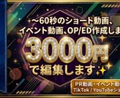 実績作り価格！短編動画を3000円で作成します ポートフォリオは、無料見積り相談時にて。 イメージ1