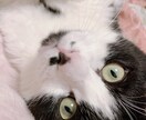 現役学生があなたの愚痴や悩みを優しく聞きます 日常であった悩み、愚痴などを現役学生が聞きます！ イメージ1