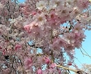 雑談から深刻な悩みまで☆優しく傾聴します 話せて良かったって思って貰えるようにアナタの心に寄り添います イメージ6