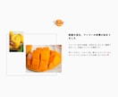 簡単に更新・管理ができるECサイト作ります WordPressを使ったネット通販ショップサイト制作 イメージ3