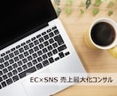 大手EC15年×SNS連動。売上最大化を伴走します 現役プロが15年の知見でECをフル伴走 イメージ1
