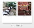 大切なペットとの思い出写真とメッセージを本にします 最高に可愛いペットとの思い出を、可愛い1冊の本に！ イメージ2