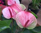 愚痴やその他のお話、聞きます まだ若いからこそ分かるものがあるはず！☺️ イメージ1