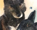ハガキ～A4サイズで動物ちゃんの似顔絵描きます 水彩でふんわり優しく♬.*ﾟ可愛らしい表情を描きます イメージ1