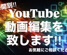 素材20分以内の動画編集を致します 丁寧に行います、基本的にYouTube動画が慣れています。 イメージ1