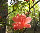 がんの不安によりそいます がんについて、基本的なことから最新の情報まで イメージ1