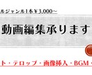 動画編集ジャンル問わず承ります あなたが作りたい映像を制作します イメージ1