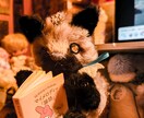 あなたの写真をより鮮やかにします あなたの写真に魔法を掛けます! イメージ1