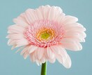 5分でも、聞きます 、あなたに寄り添いながら話しを聞きたいです イメージ7