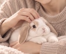 あなたの悩みに寄り添い、心を包み込みます 相談・愚痴・悩み・雑談、包み隠さず何でも話してください♪ イメージ2