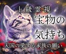ペットの気持ち｜いつまでも変わらぬ愛と絆を届けます 受け入れられなくて大丈夫。魂はずっとあなたのそばにいます。 イメージ1