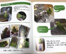 自分誌・成長記録等作成します あなたの自分誌・ペット等の成長記録作成いたします。 イメージ2