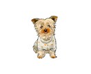 愛犬の似顔絵イラストを描きます ☺︎ SNSのアイコンや個人用オリジナルグッズにも◎ イメージ3