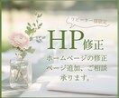 リピータ様限定！ ｜HPの追加・修正致します ・ページ追加 ・お知らせ機能追加 ・写真変更etc…… イメージ1