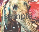 動物の待ち受け作ります 〜大好きな動物がいつでもあなたの手元に〜 イメージ1
