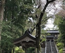 ご希望の出雲地域の神社へ参拝祈願致します 運命的な人やお仕事のご縁、健康など様々な御利益を皆さまに イメージ8