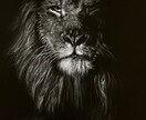 黒紙に白色鉛筆でリアルな絵を描きます 他にはない黒紙に白色鉛筆だけでリアルな質感で絵を描きます イメージ2