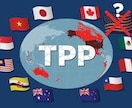 日EU・TPP協定の輸入者証明書類を代行作成します 日EU・TPP協定の輸入者証明書類を作成します。 イメージ1