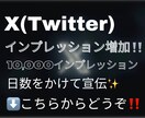 ポスト(ツイート)のインプレッションを増加させます X/Twitter/ポスト/ツイート/インプレッション イメージ1