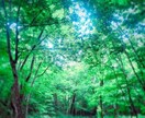 気軽な話から｢鬱｣も精神全般全てのご相談承ります 身体の不調から何でも気軽にお話下さい。愚痴もどうぞ イメージ1