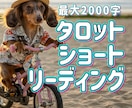 恋愛や仕事どんな事でも現状から未来まで占います 問題解決へのアドバイスあり！最大2000文字のショート版鑑定 イメージ1