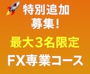 販売終了！上位版込｜FX専業を本気で目指せます 月3名限定の手法伝授【ステップ1：手法PDF＋分析用インジ】 イメージ2