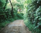 あなたらしさに寄り添うフィルム写真を撮ります あなたの言葉にできない気持ちや夢で見た景色を可視化します イメージ5