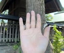 手相で基本的性質鑑定します 手のお写真をお送りください。基本的性質について鑑定いたします イメージ1