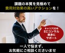 EC売上☆経験豊かなECコンサルがアドバイスします 課題の本質を見つけて一緒に解決しましょう！ イメージ3