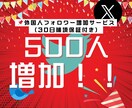 X（Twitter）外国人フォロワー増加！します ✅ 海外フォロワー⛵️影響力UP⏳30日保証付き✅ イメージ1