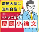 慶応SFC卒の予備校講師が慶応入試の添削を行います これまで多くの早慶合格者を教えてきたノウハウで添削します イメージ1