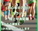 中長距離・マラソンの練習を１か月間サポートします 【初心者の方向け】基本から丁寧に、効率的でわかりやすい練習を イメージ1