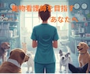 愛玩動物看護師への進路を整えます 現場10年の看護師が あなたの夢をやさしく整理します イメージ1