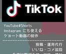 TikTok｜動画制作～集客運用までサポートします トータルサポートから必要な時に必要なサポートまで魂を込めて イメージ2