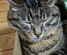 うつの経験をいかし、話し相手、相談にのります コロナ禍疲れてる人、大丈夫だと見て見ぬふりはしていませんか？ イメージ1