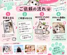 お気に入りの写真からかわいいSNS画像を制作します ペット・人物・商品などのお写真をかわいくデザインします イメージ2