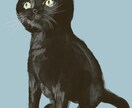 あなたの愛猫を描きます 愛猫の魅力をアートに！世界に一つだけのペットポートレート イメージ2