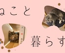 you tube 商品サムネイルなど作成します パッと目に付くおしゃれなサムネ、シンプルなサムネ作成 イメージ4