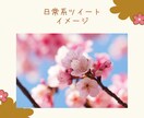 ツイッターを日常的な雰囲気で1ヶ月運用代行します 業者っぽい代行よりも親しみのあるツイッターアカウントへ イメージ5