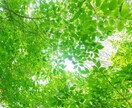 現役ママが様々なお悩み愚痴何でもお話お聞きします ＊身近な人には話せない！そんな時こそお話聞かせて下さいね✳︎ イメージ1